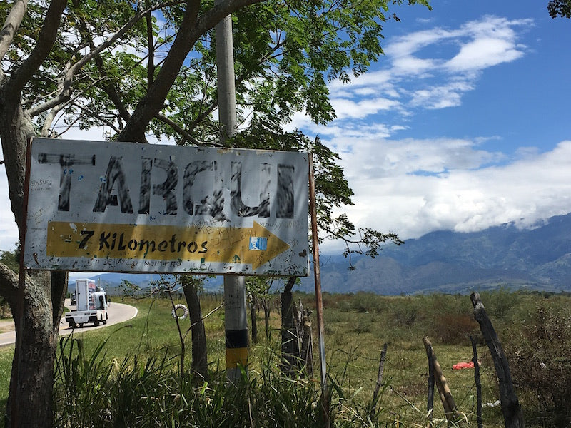 Paraíso 2017